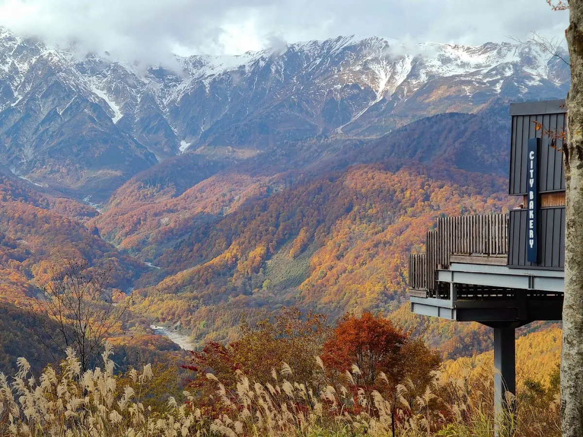 白馬岩岳マウンテンリゾート