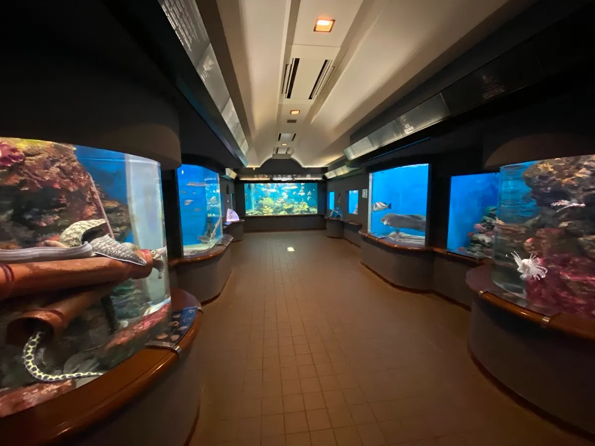 市立玉野海洋博物館(渋川マリン水族館)