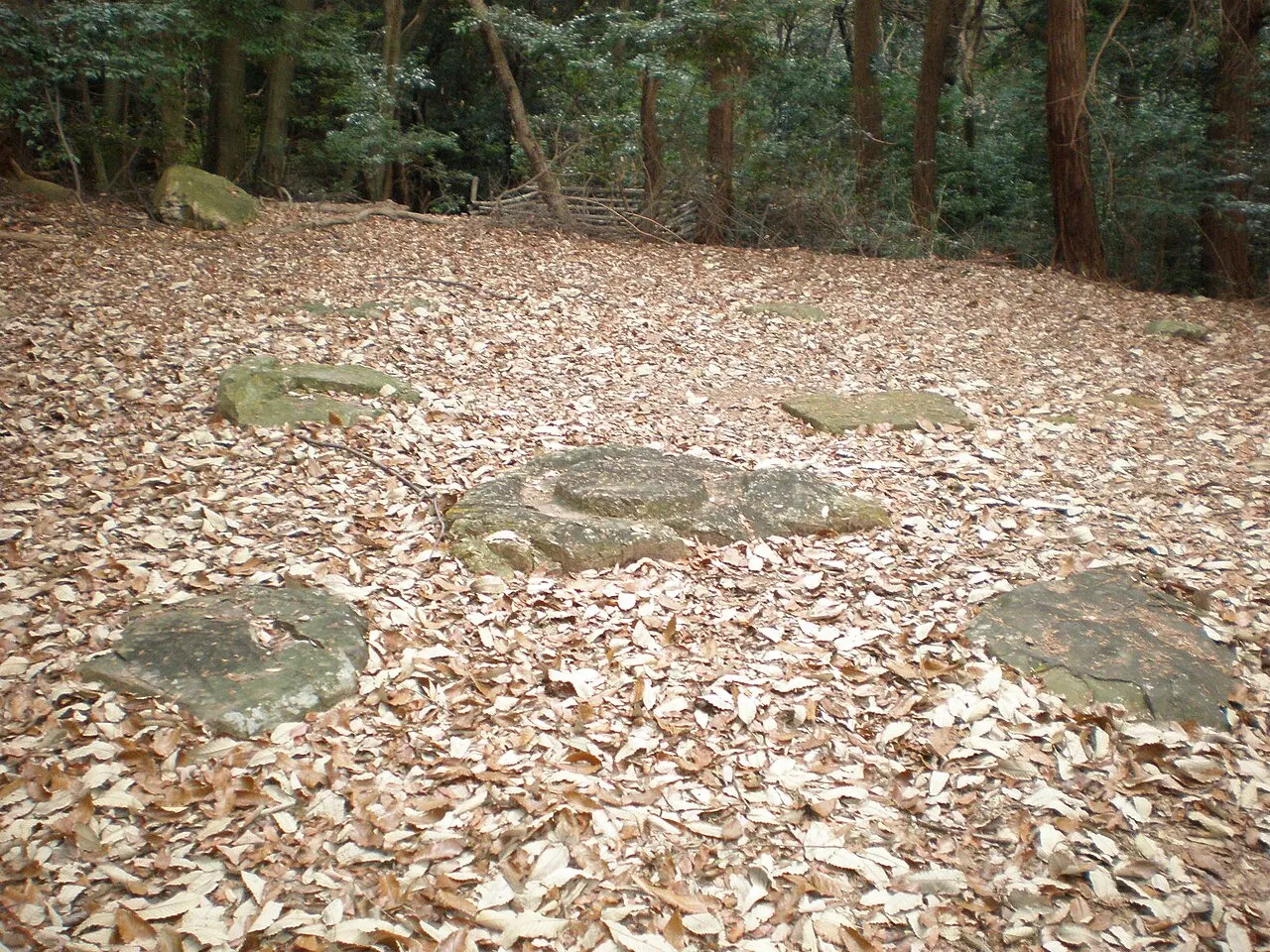 大山廃寺跡