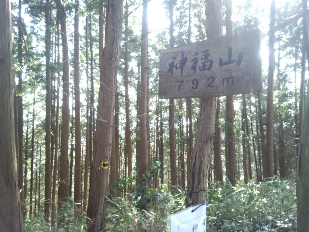 神福山