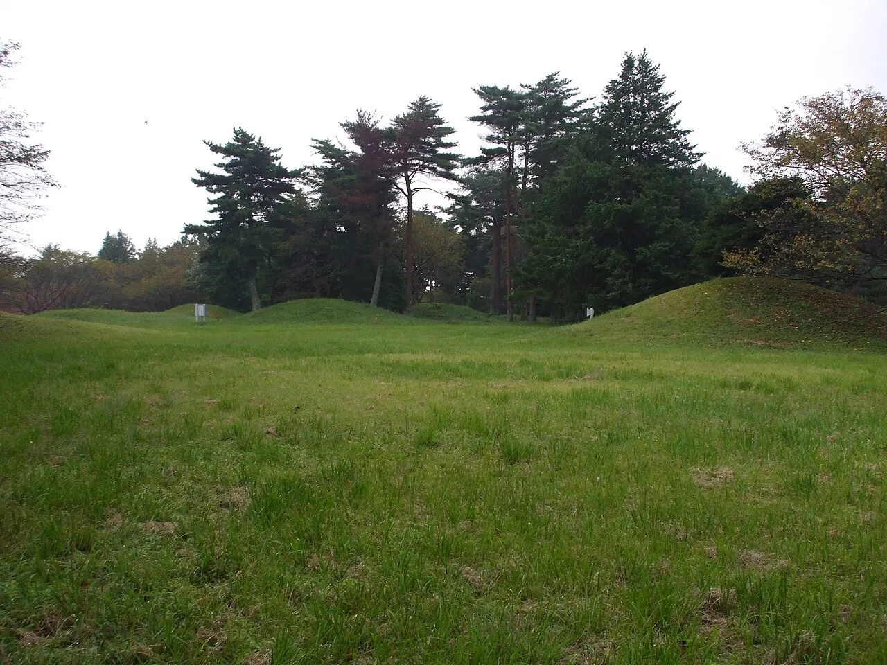 龍角寺古墳群
