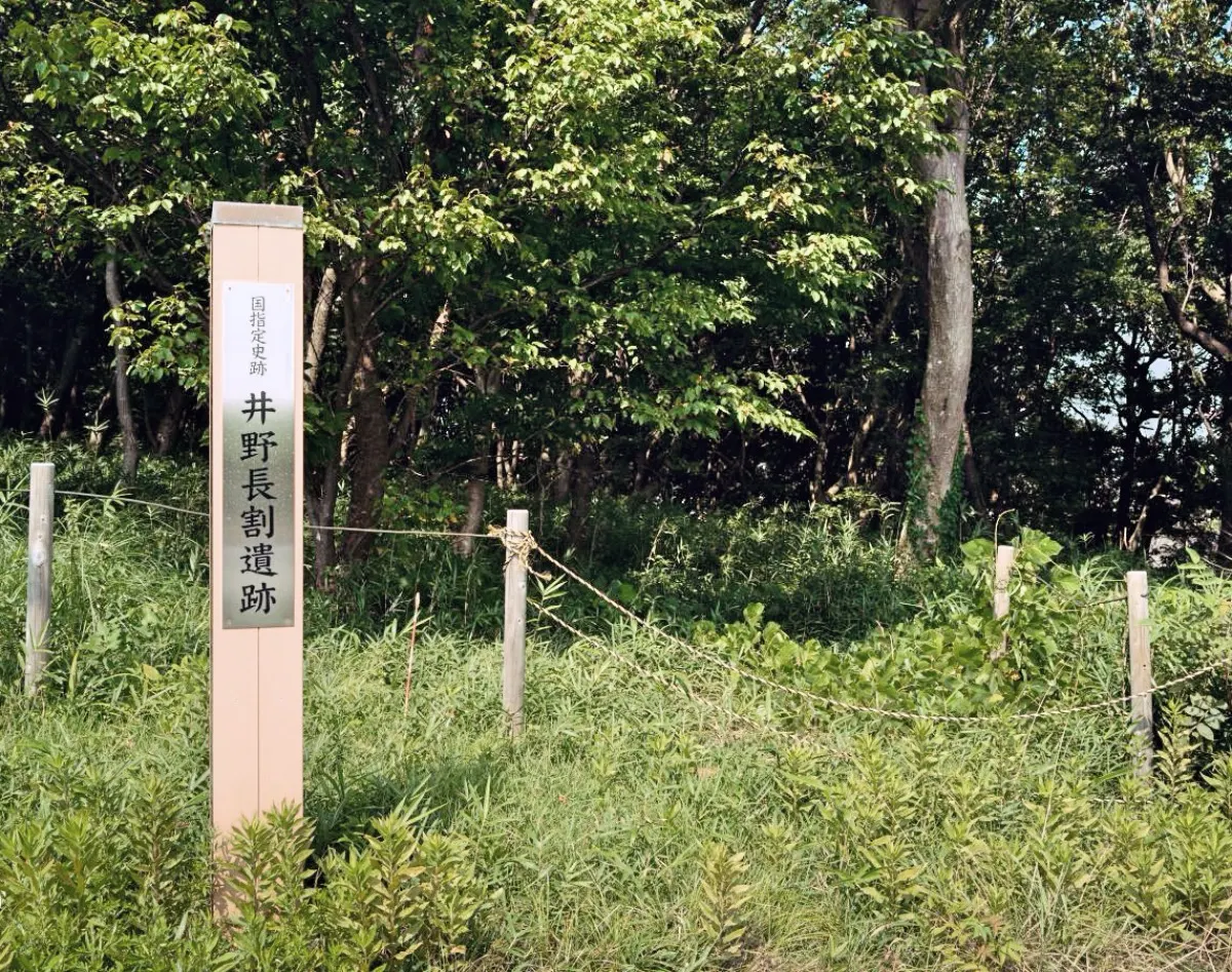 井野長割遺跡