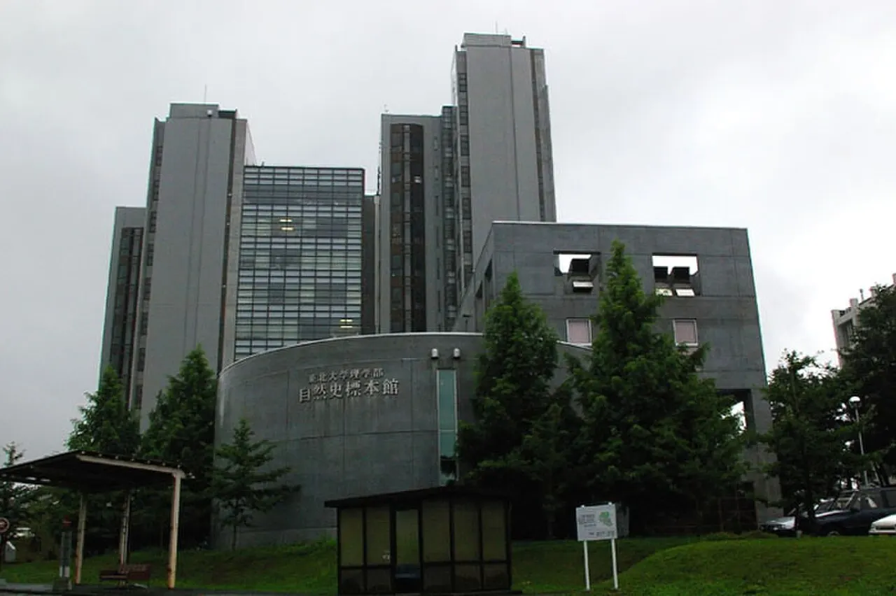 東北大学総合学術博物館