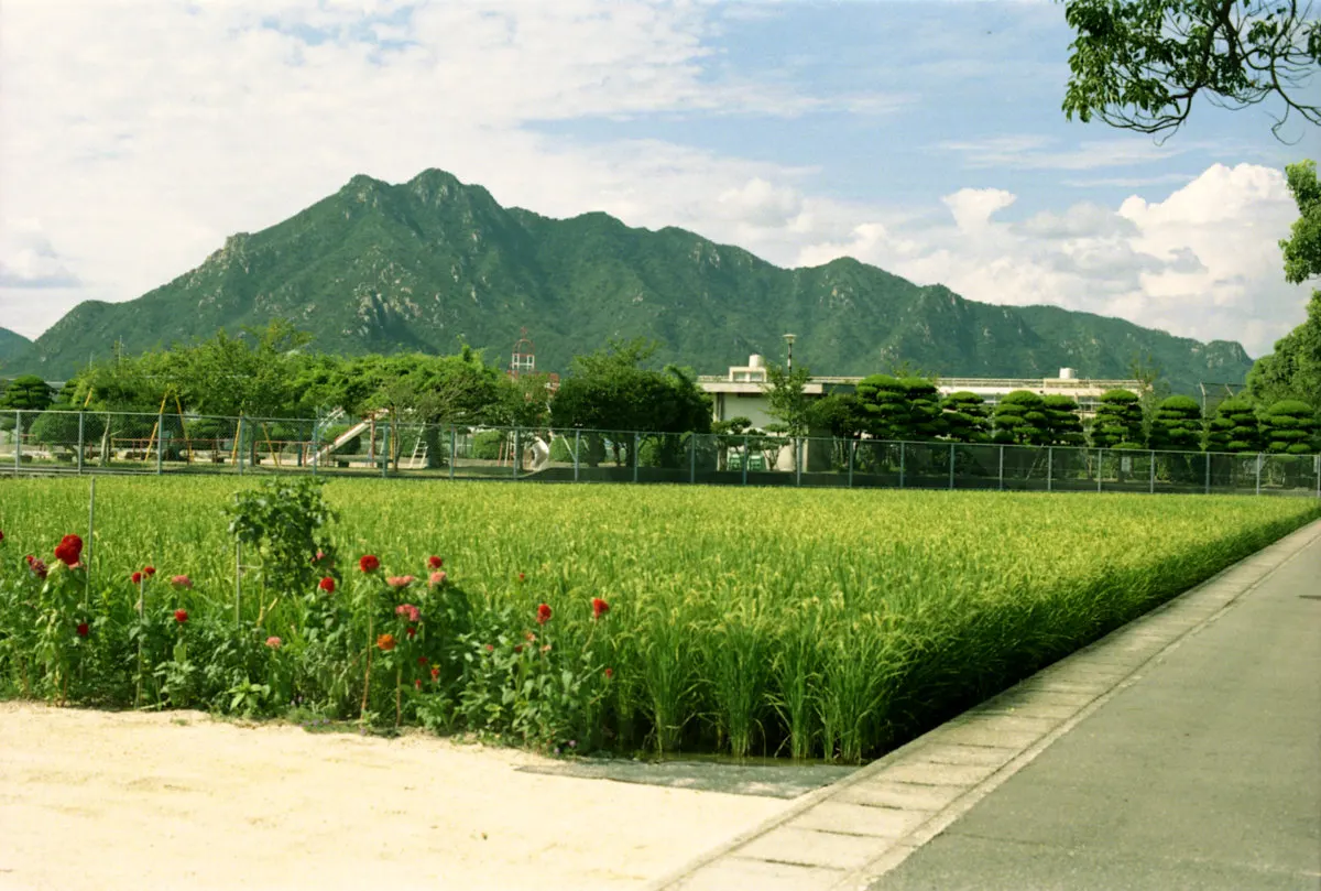 右田ヶ岳