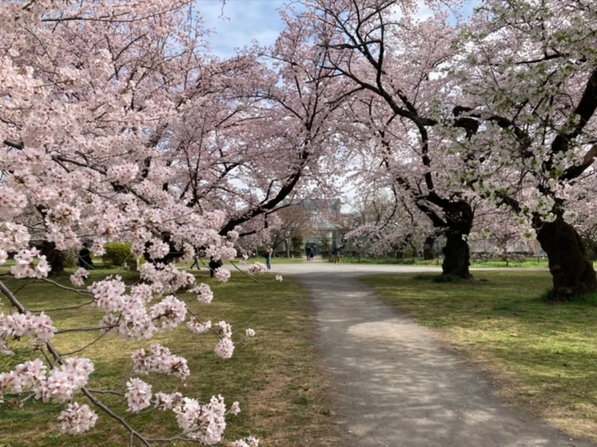 東京大学大学院理学系研究科附属植物園