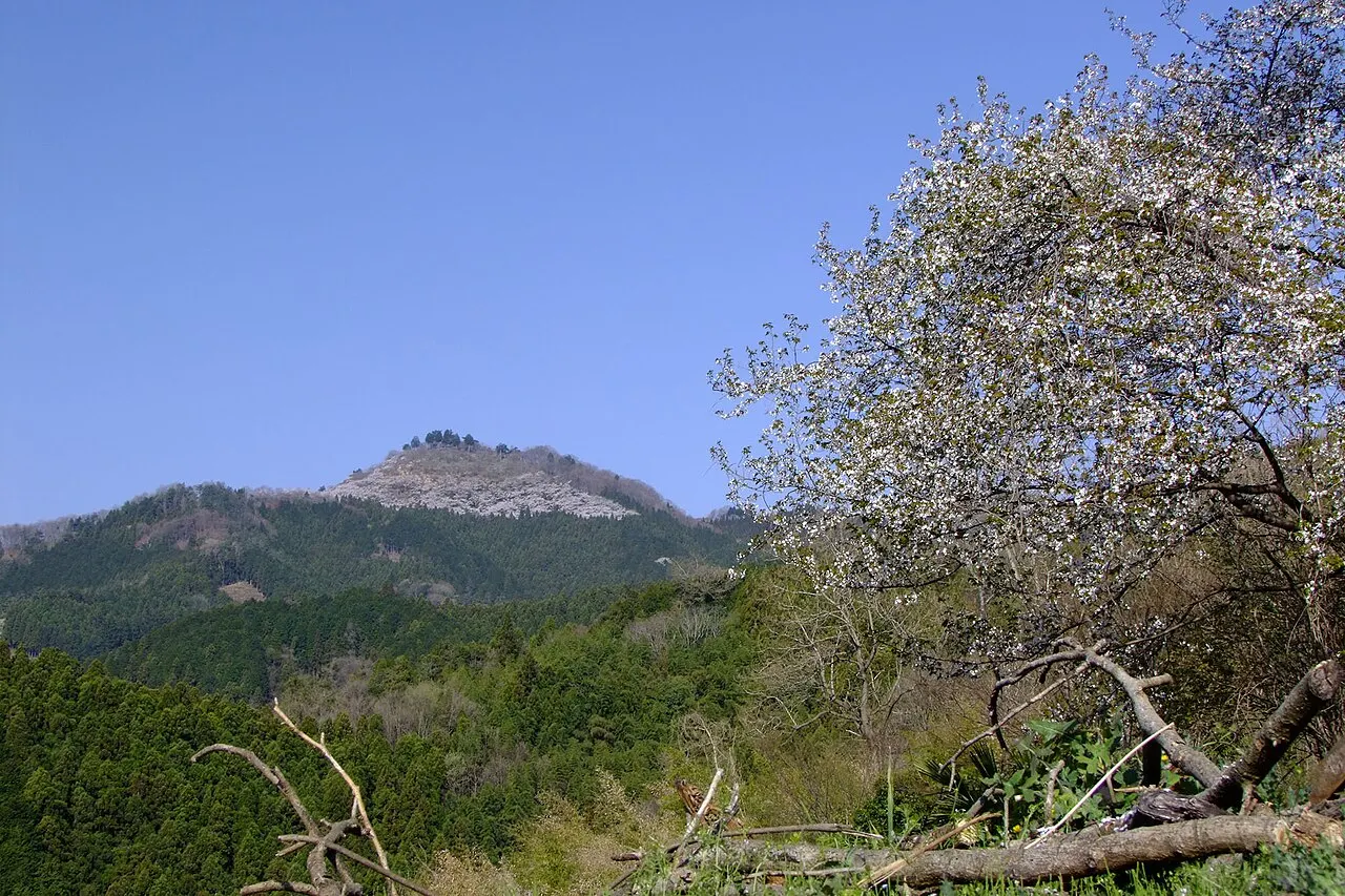 桜山 (群馬県)