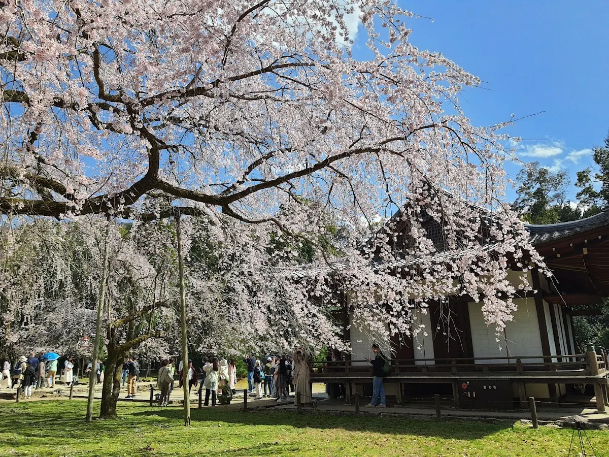 醍醐寺光台院