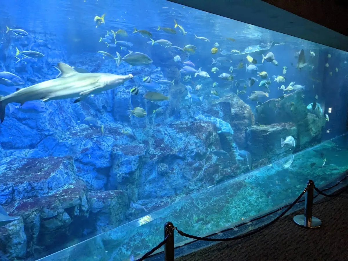 大分マリーンパレス水族館「うみたまご」
