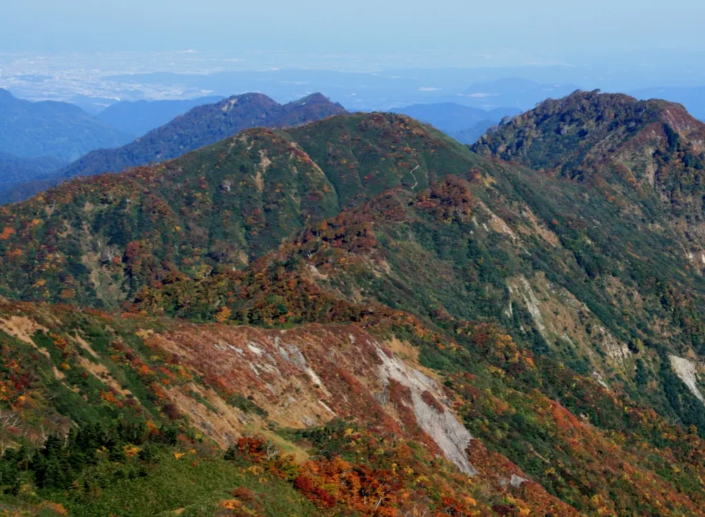 奈良岳