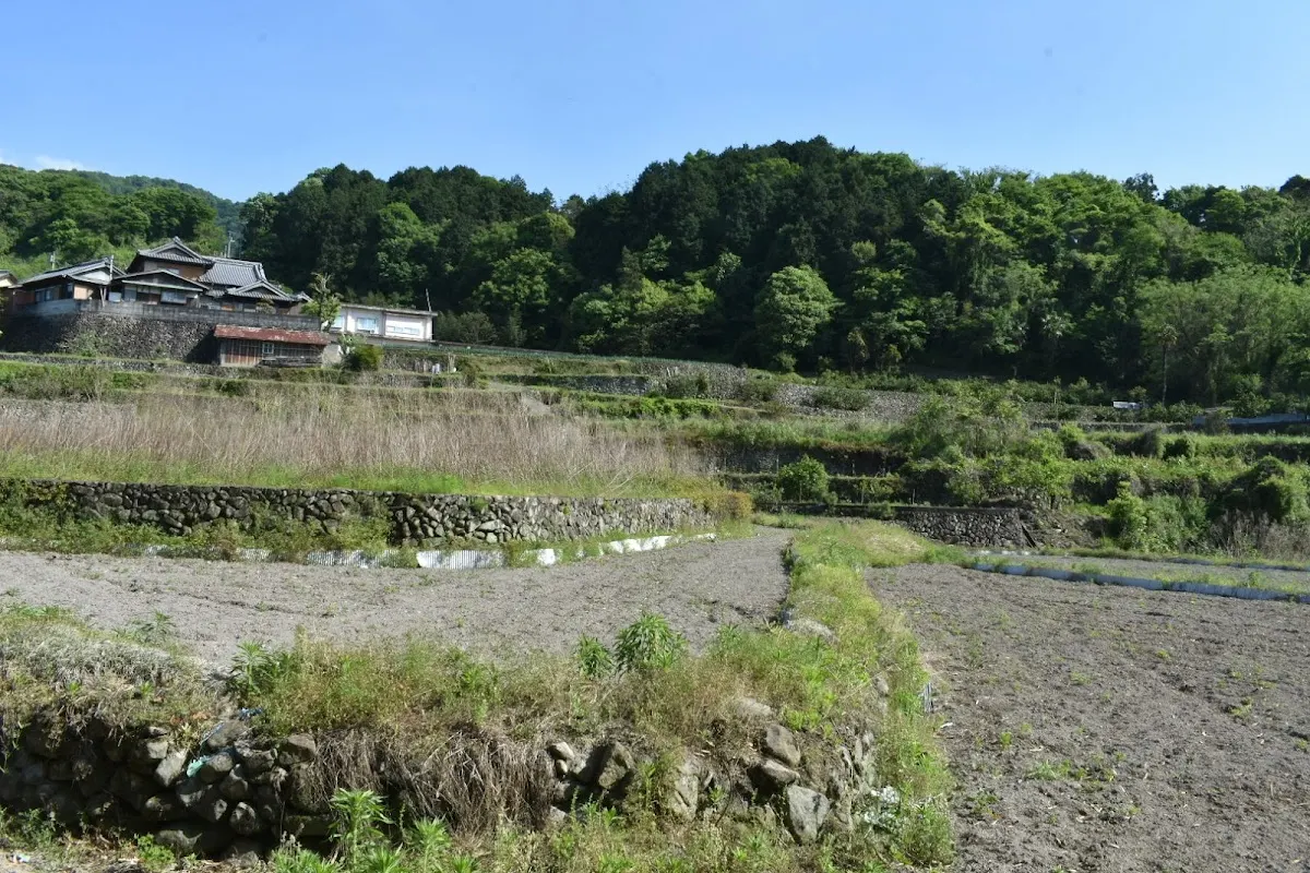 観音寺