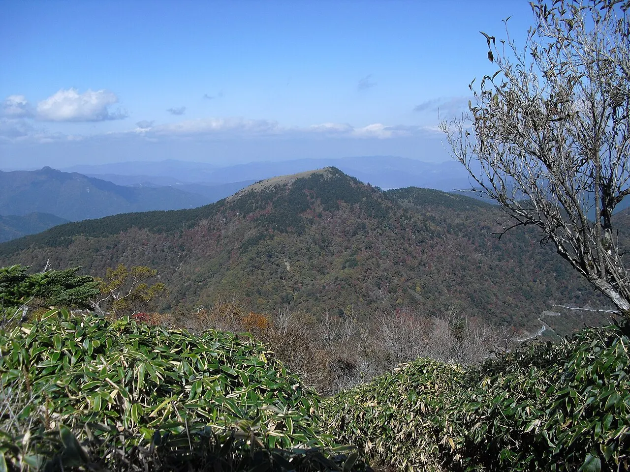 丸笹山