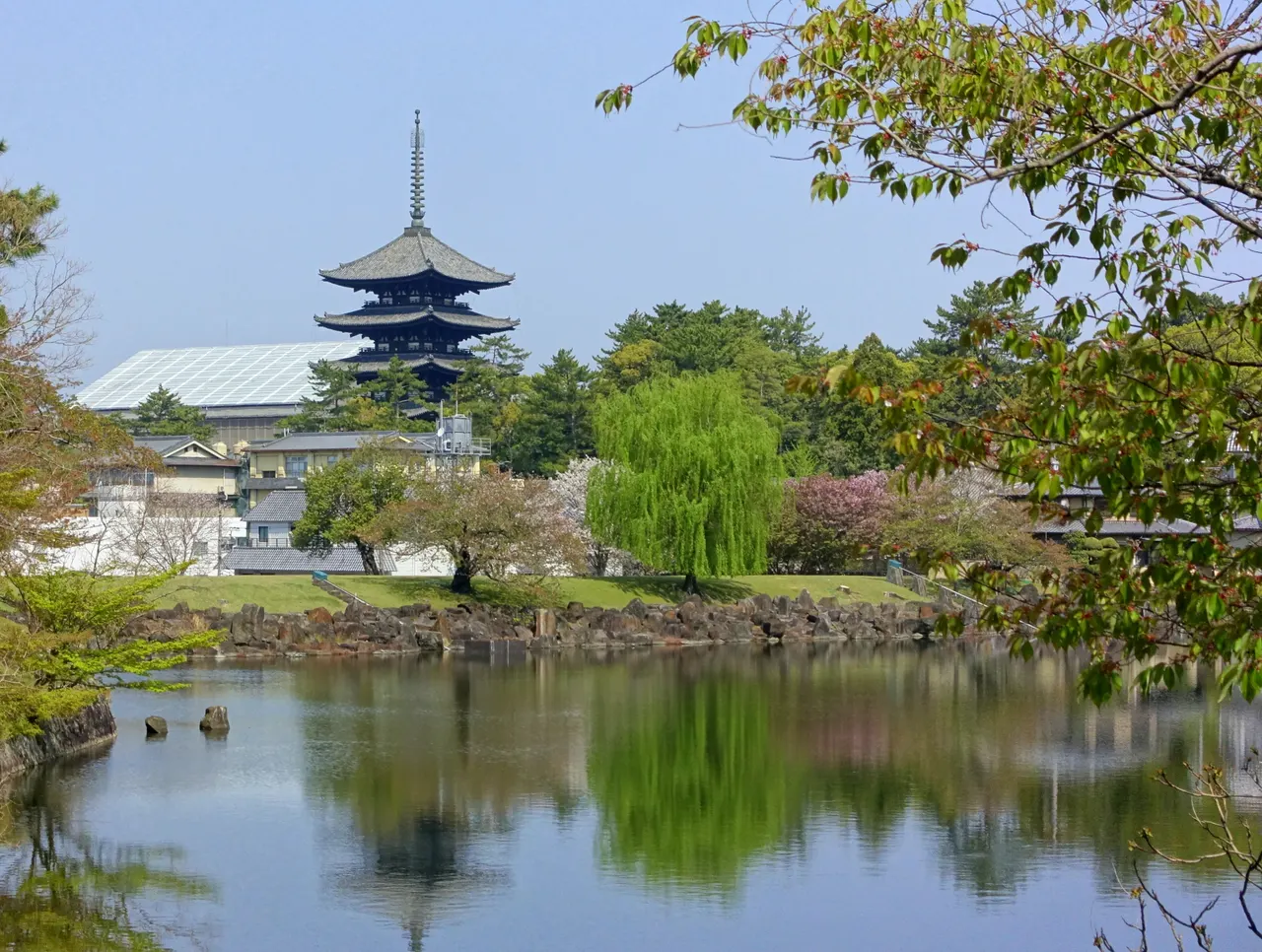 奈良公園