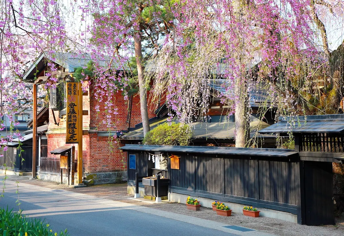 安藤醸造 本店