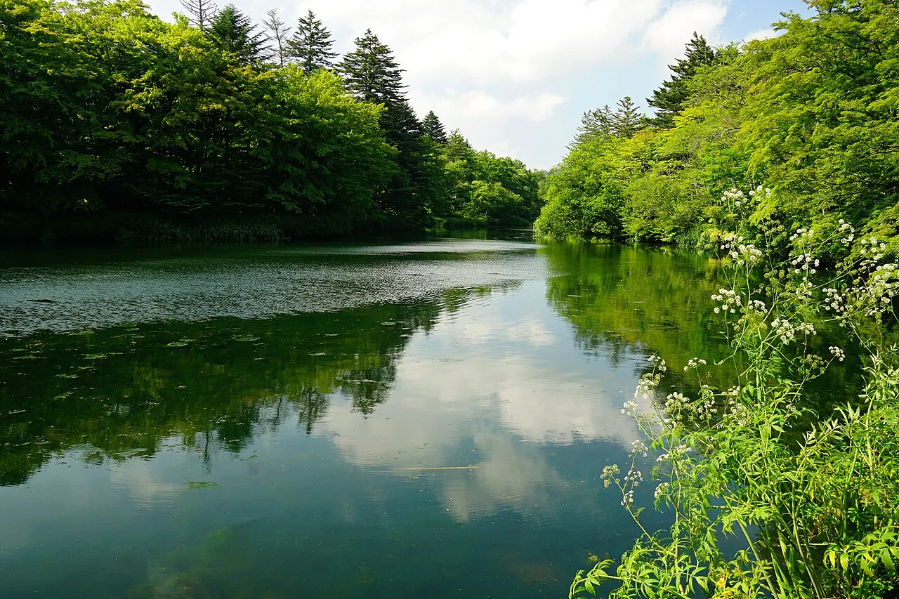 長野・初夏の避暑地！軽井沢さんぽと新名所T-SITEを巡る日帰りモデルコース