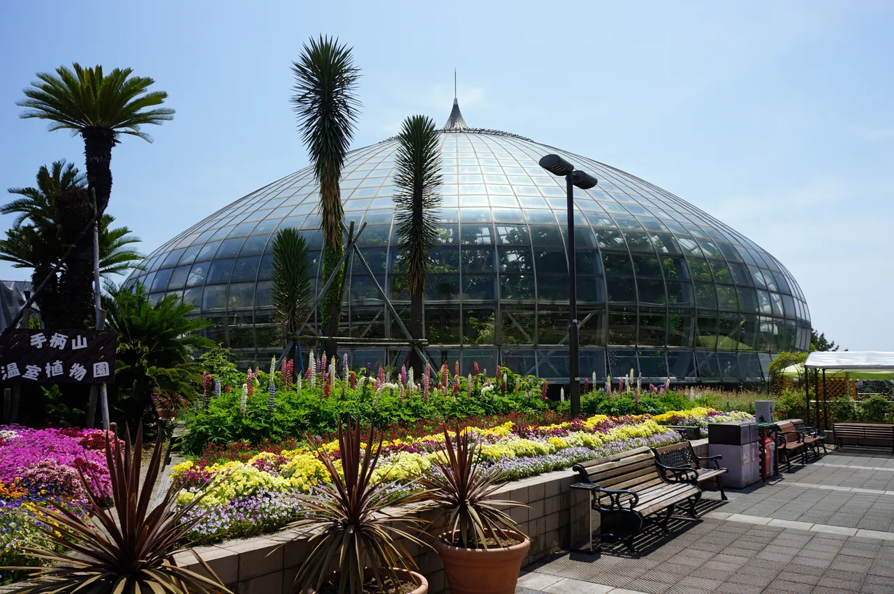 手柄山温室植物園