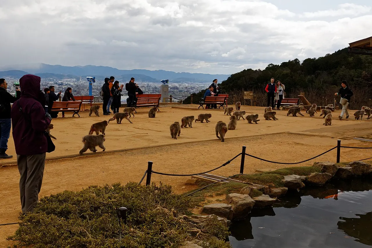 祇園・東山・北白川周辺を巡る絶景自然モデルコース3泊4日