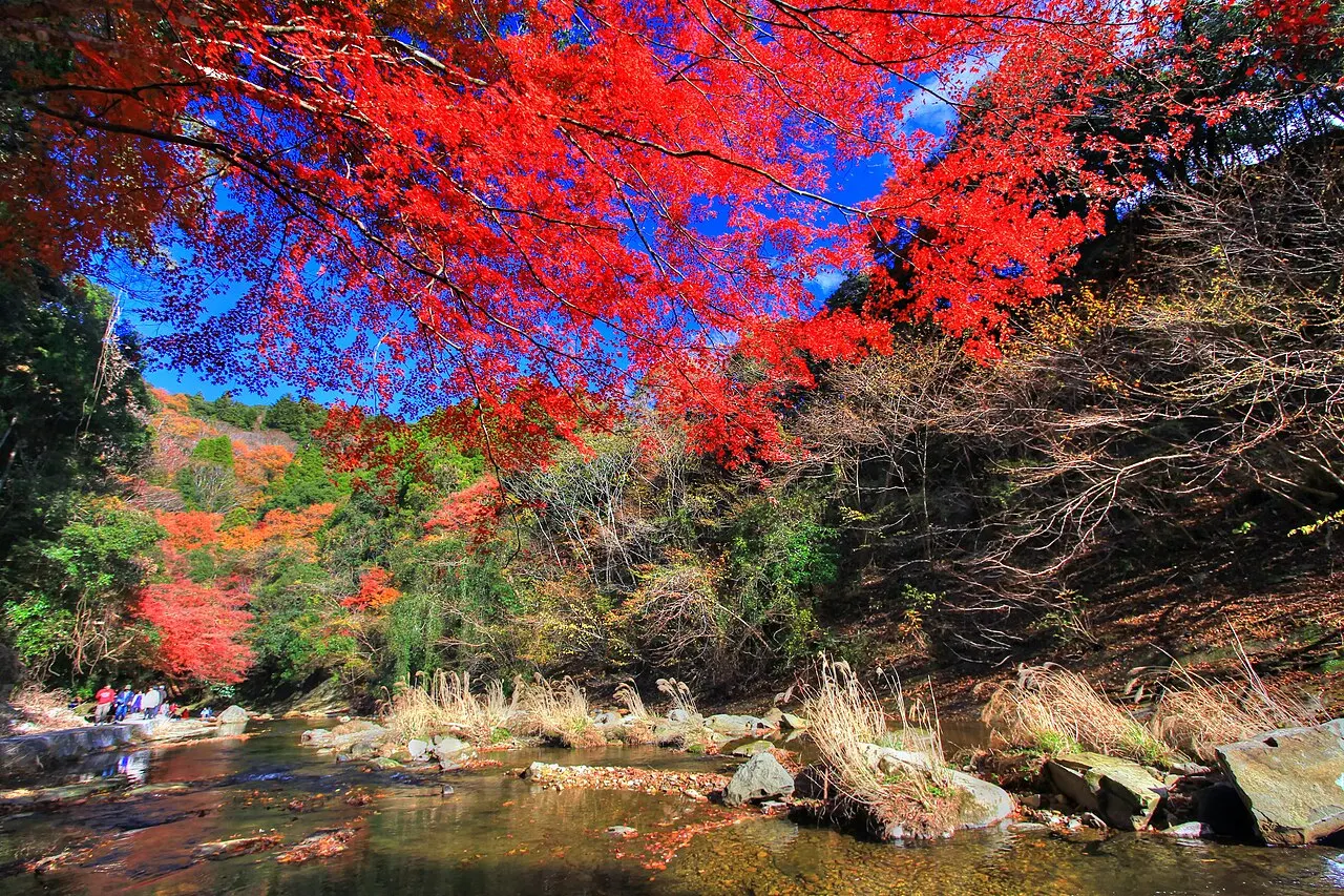 県立養老渓谷奥清澄自然公園