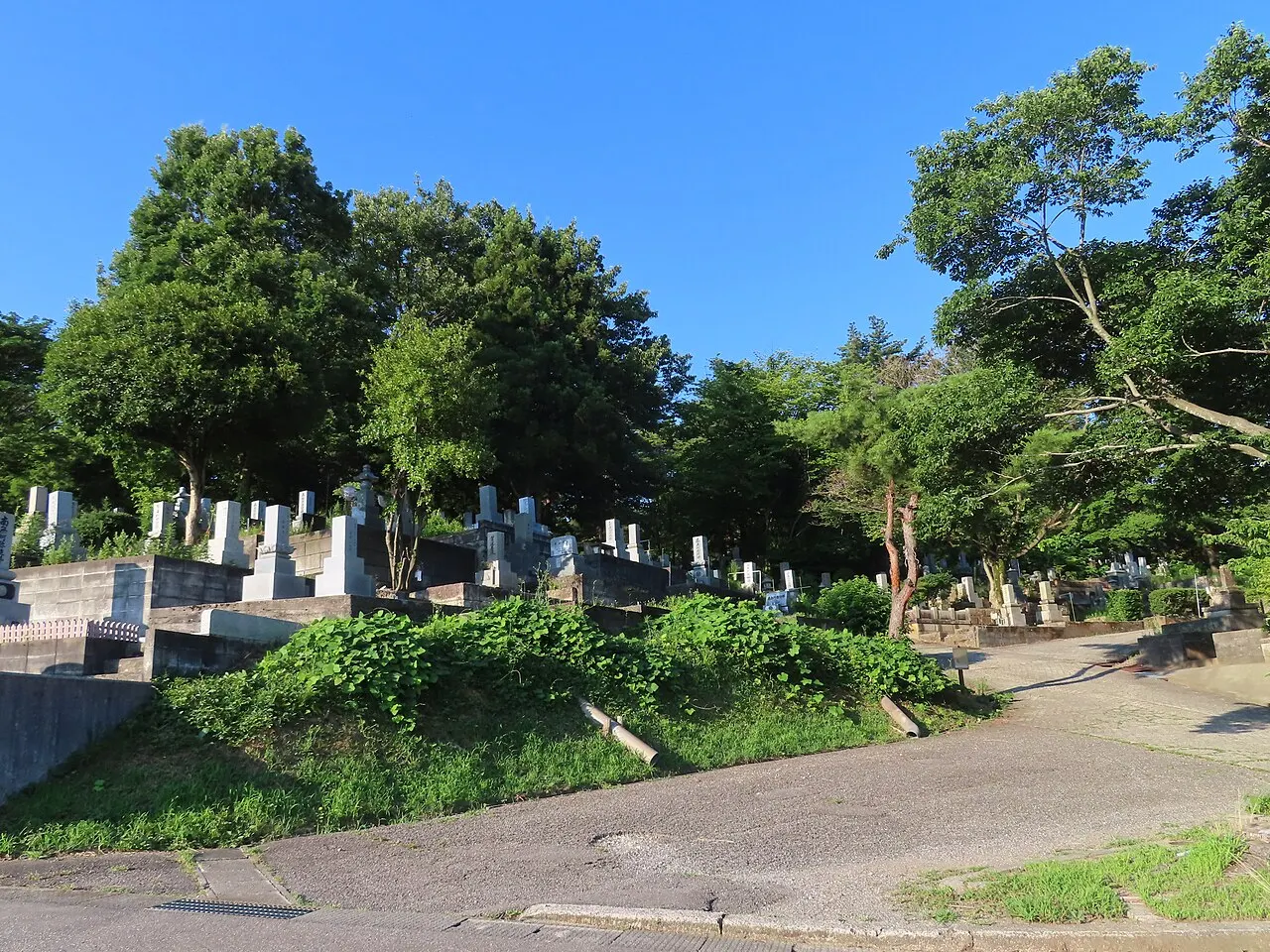 野田山