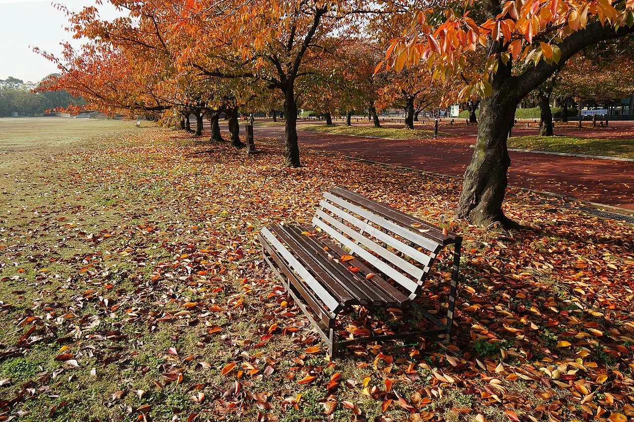 万博記念公園