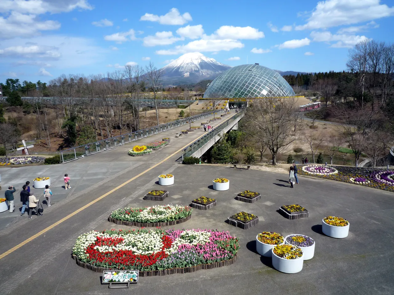 鳥取・日本最大級のフラワーパークで季節の花々に癒される1泊2日モデルコース