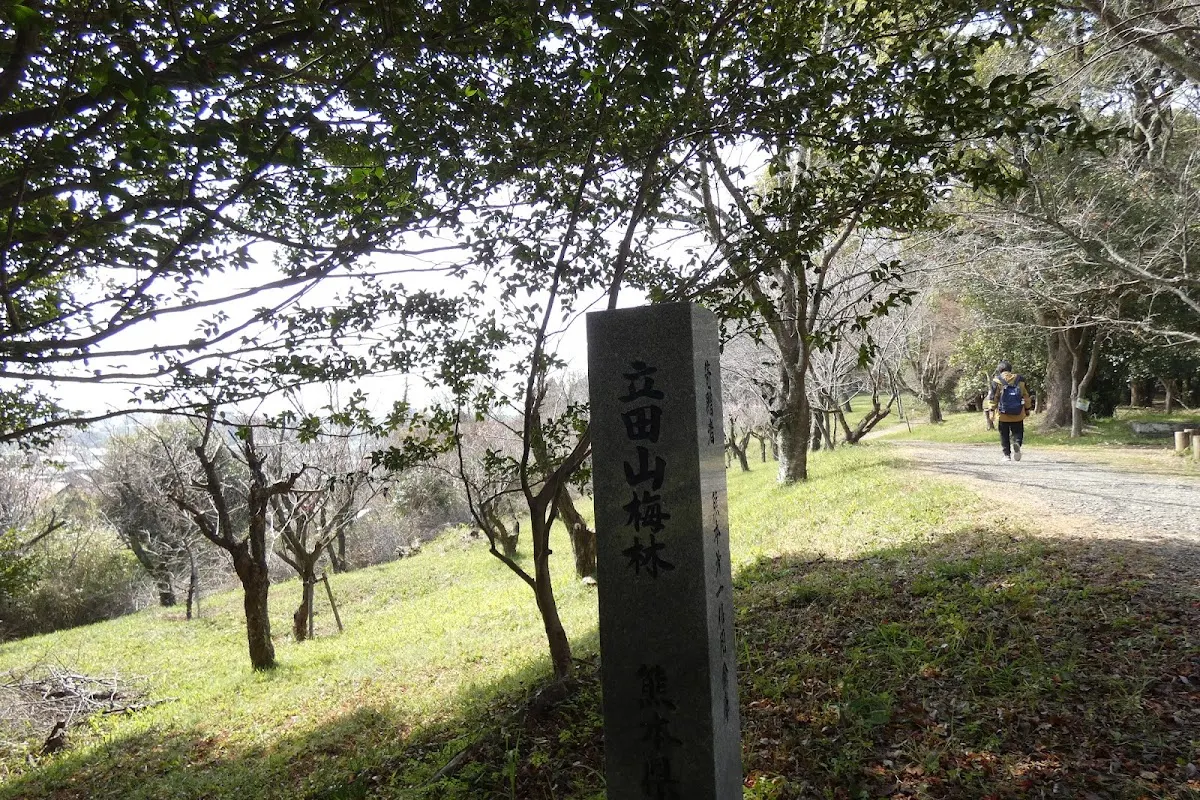 立田山