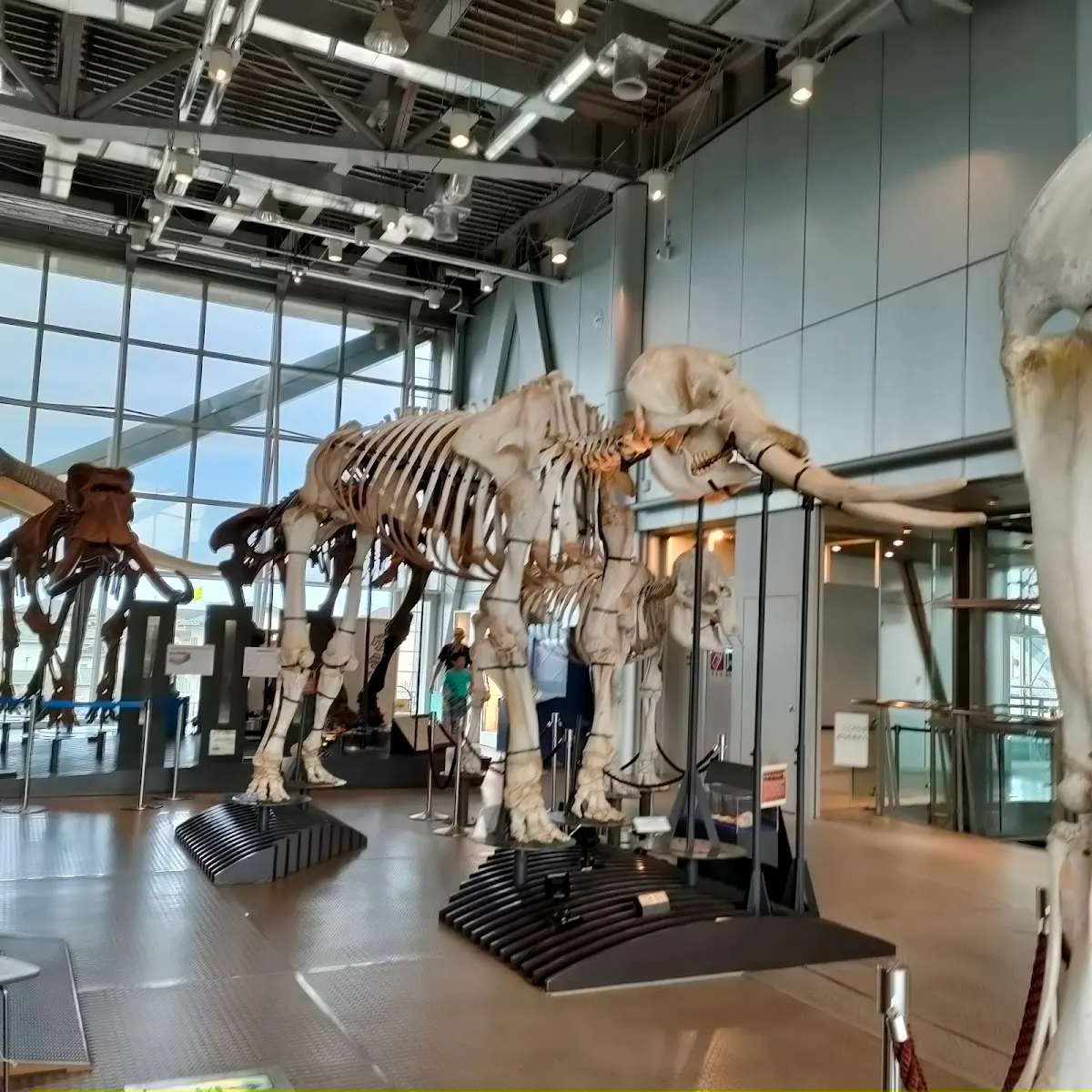 仙台市 スリーエム仙台市科学館