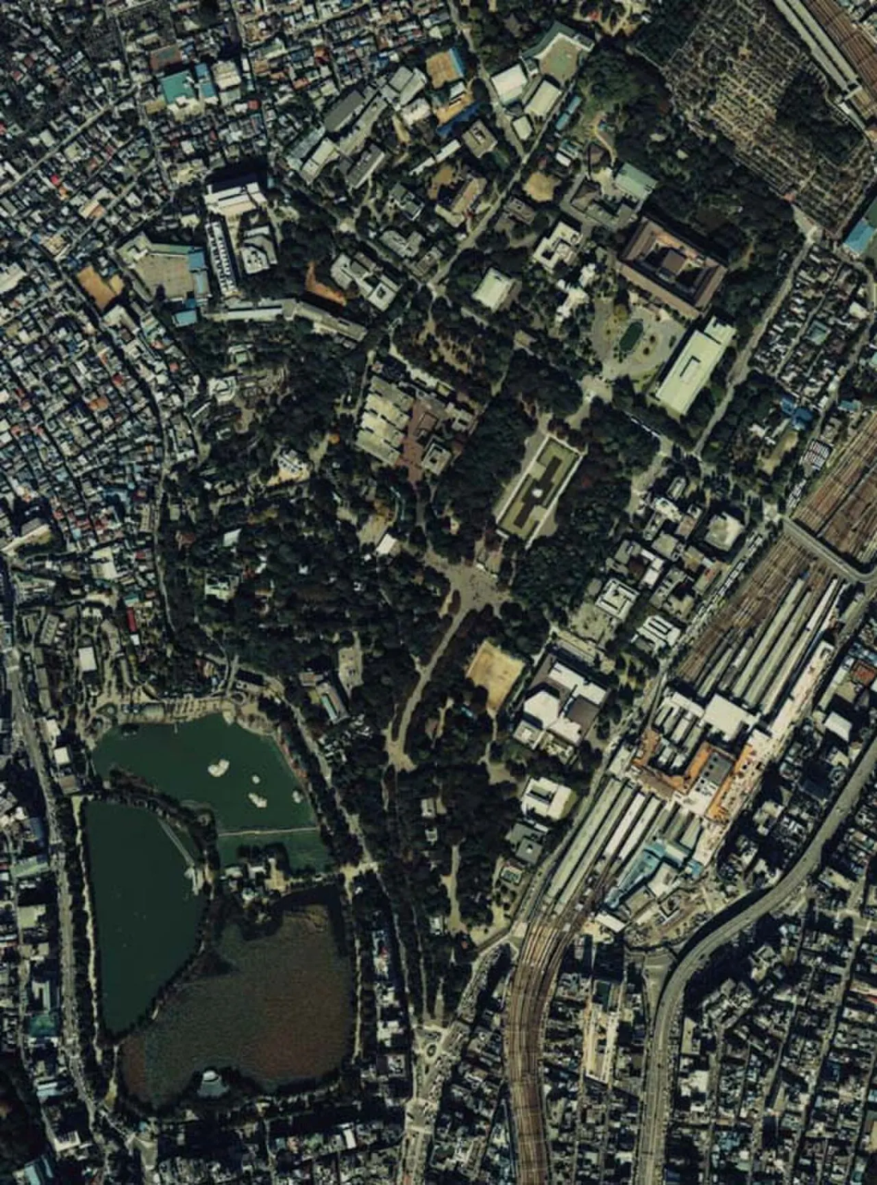 新宿・中野・杉並・吉祥寺を巡る絶景・自然満喫3泊4日モデルコース