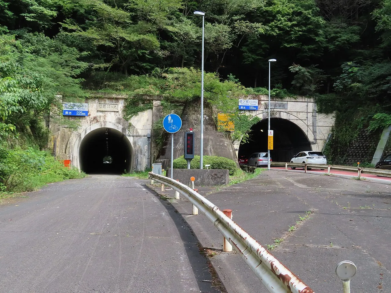 静寂に包まれる秋の京都で心安らぐ散策へ
