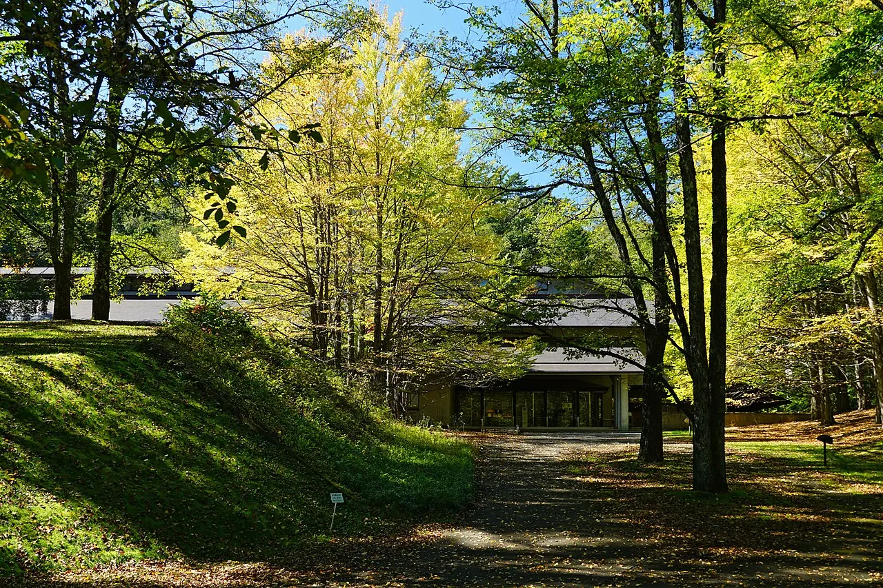 セゾン現代美術館
