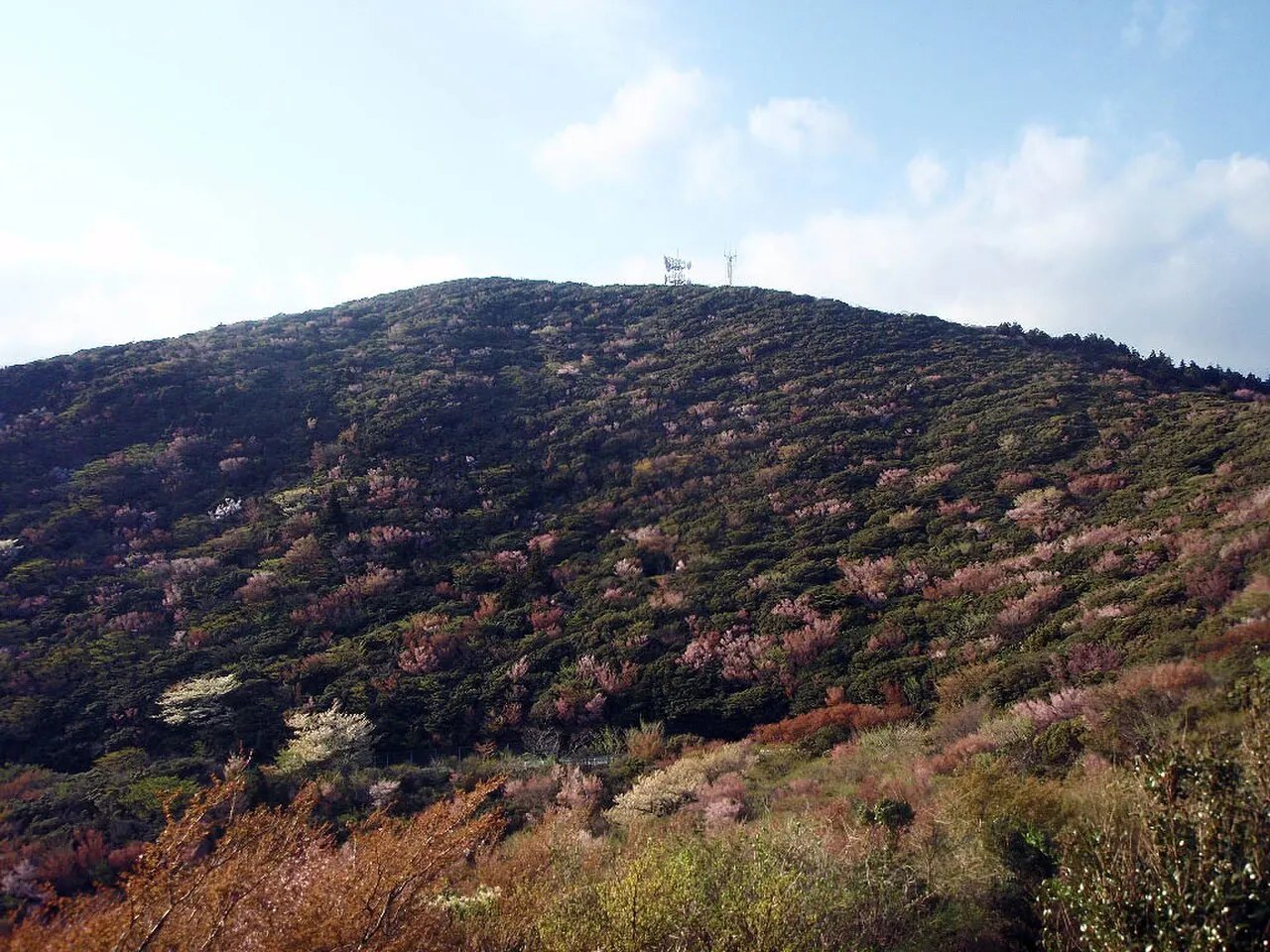 金冠山