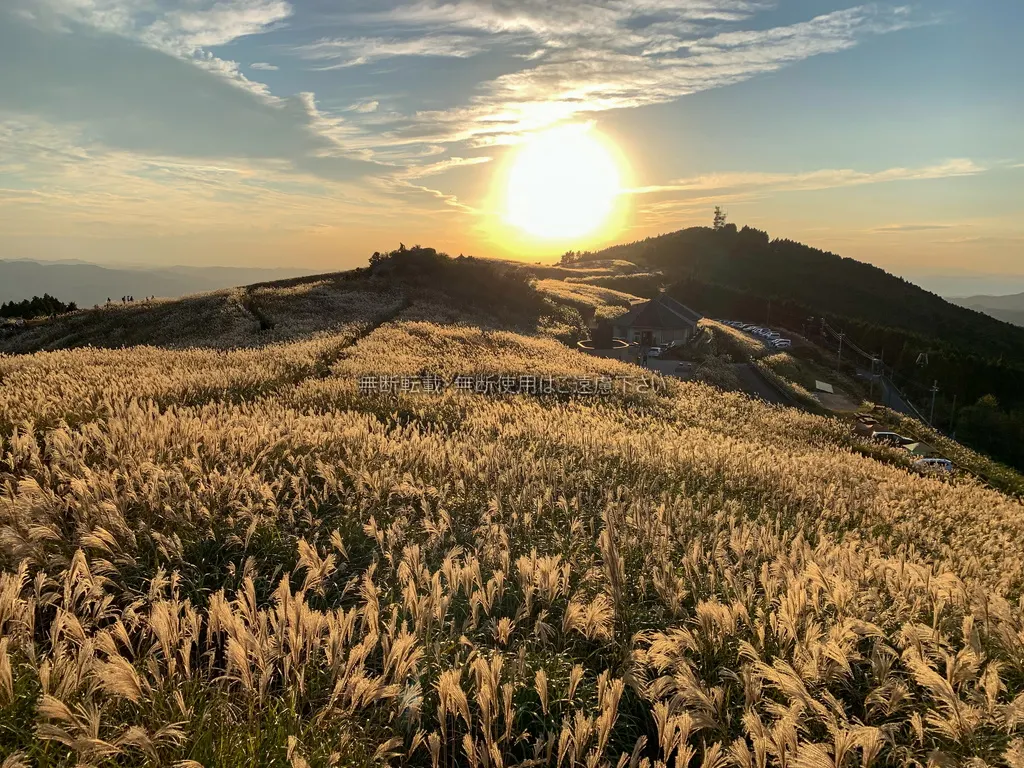 和歌山で奇跡の影っぷち写真が撮れる高原へ!日帰りモデルコース