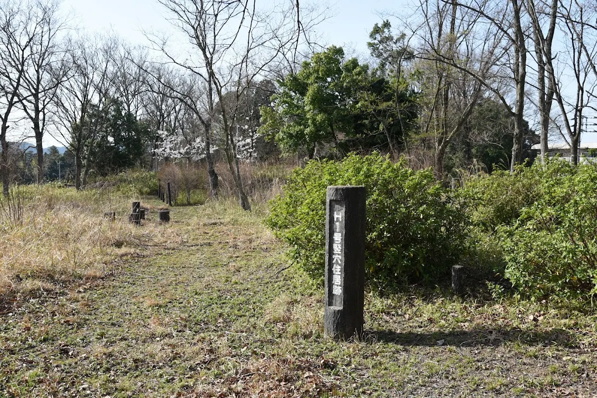 青木遺跡 (米子市)