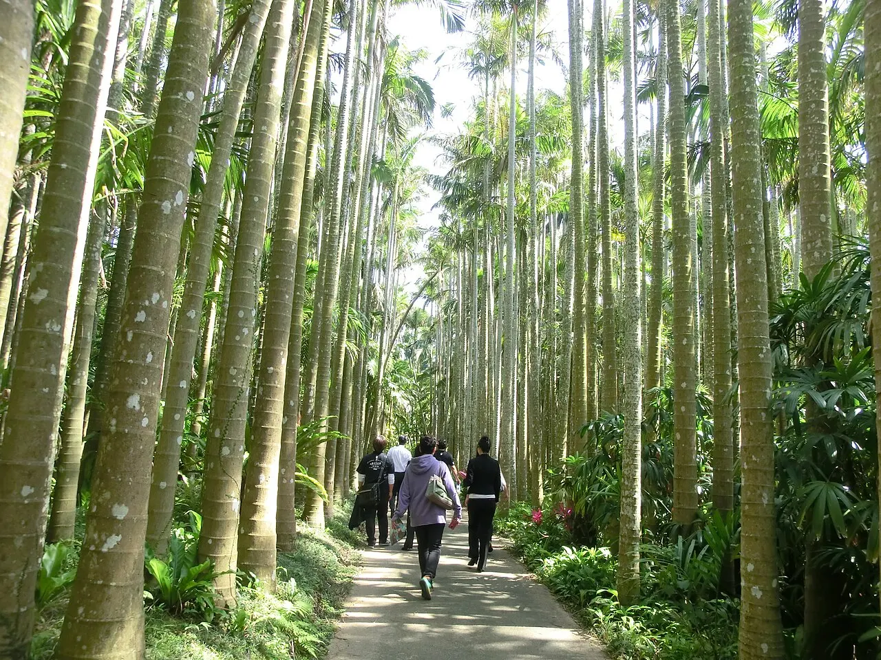 東南植物楽園