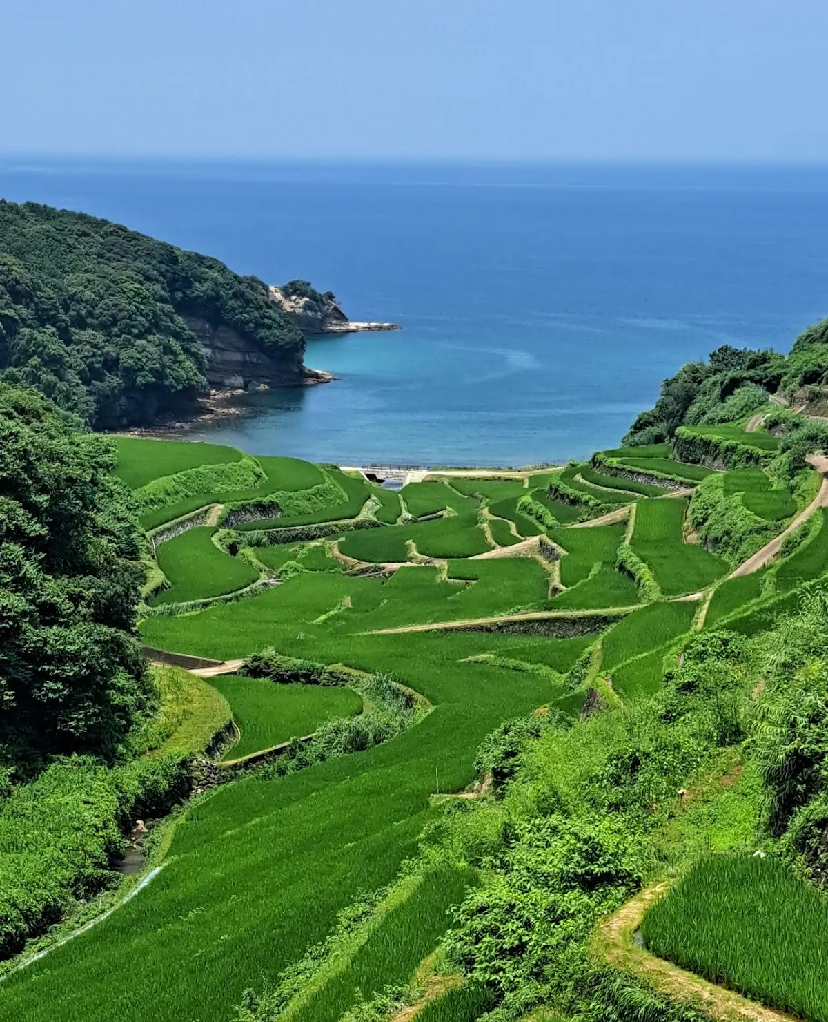 浜野浦の棚田