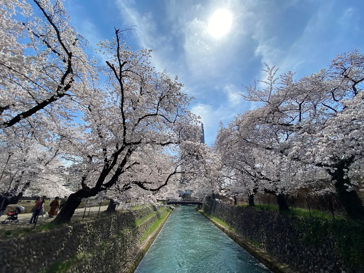 楽歩堂前橋公園