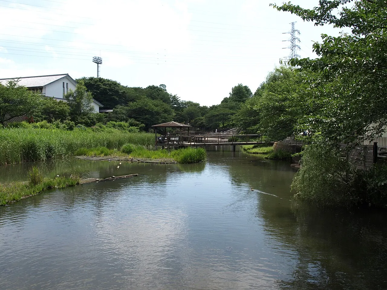 岸根公園