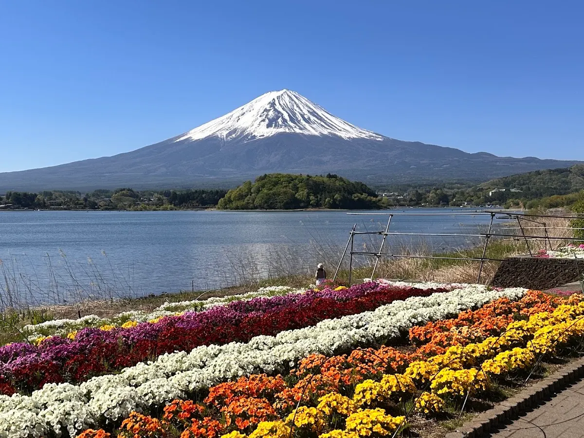 山梨・富士山を望む河口湖畔さんぽ1泊2日モデルコース|絶景と避暑を巡る旅