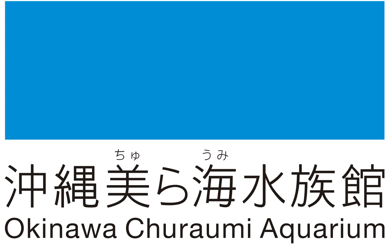 本部・名護・国頭1泊2日！自然と歴史を巡るモデルコース