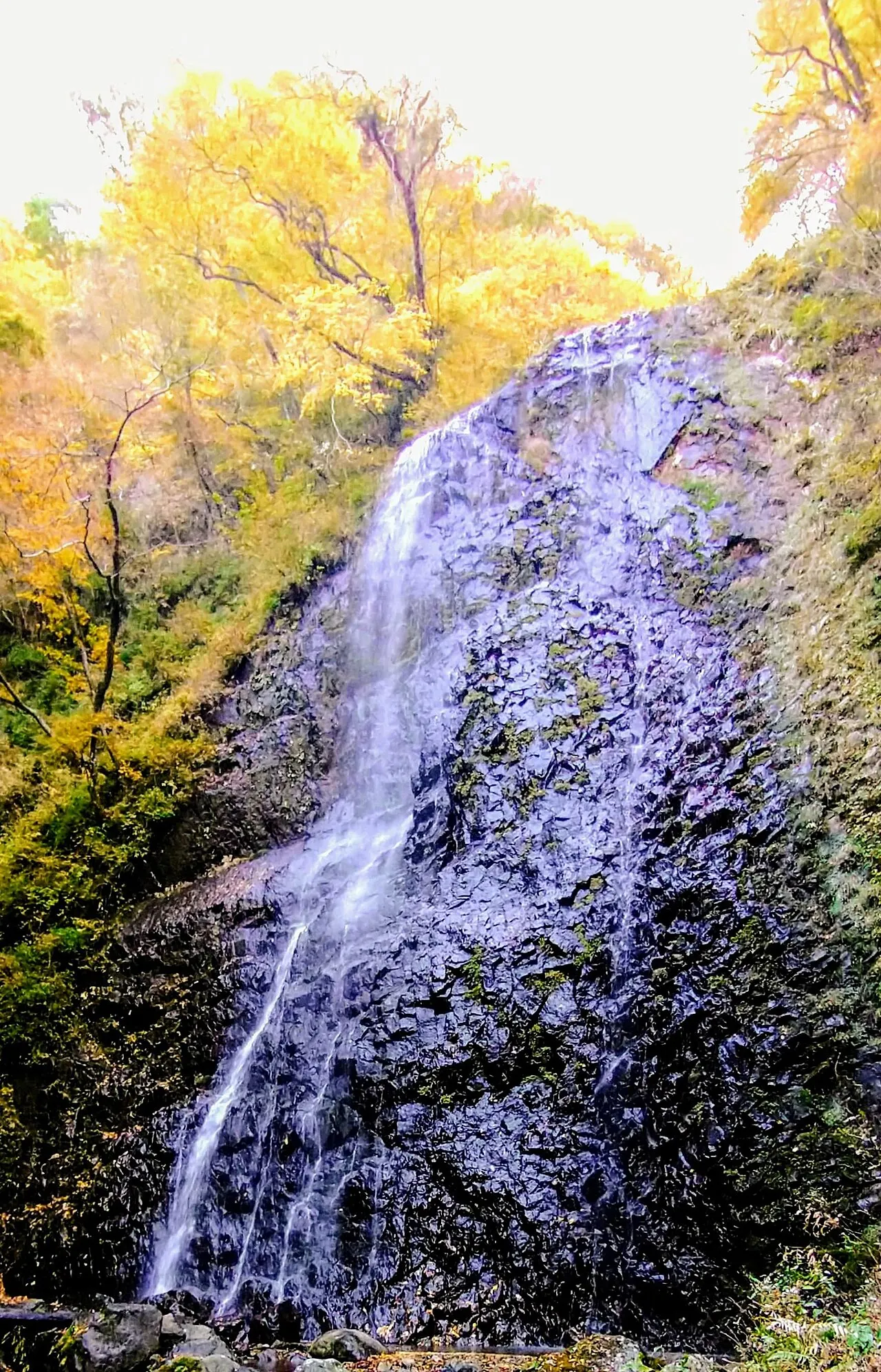 白猪の滝