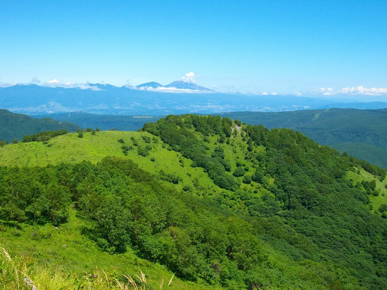 殿城山
