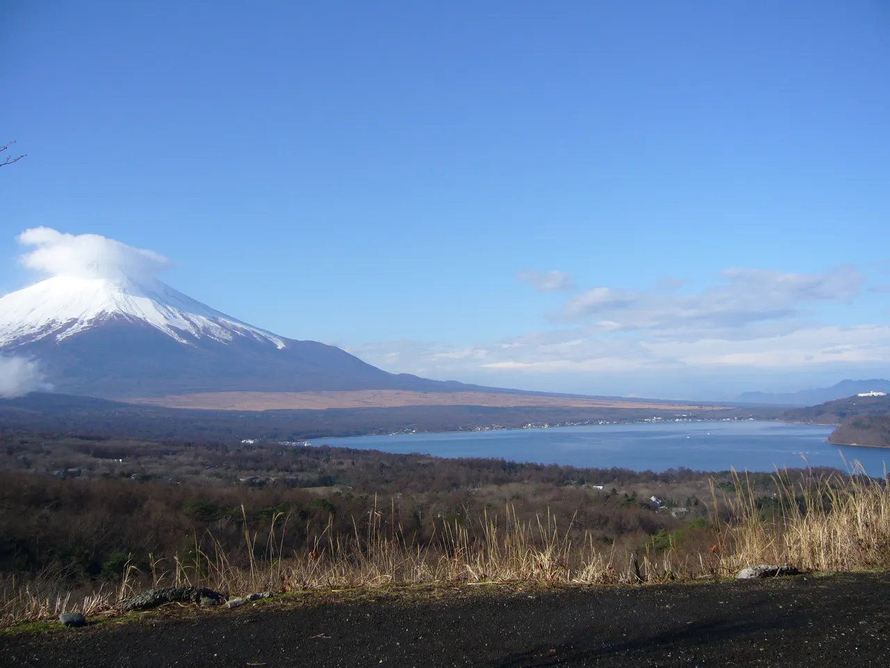 山梨・富士山とコスモスの共演!秋の山中湖ドライブ日帰りモデルコース
