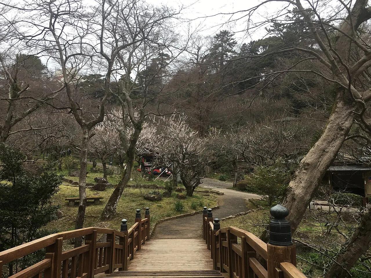 熱海梅園