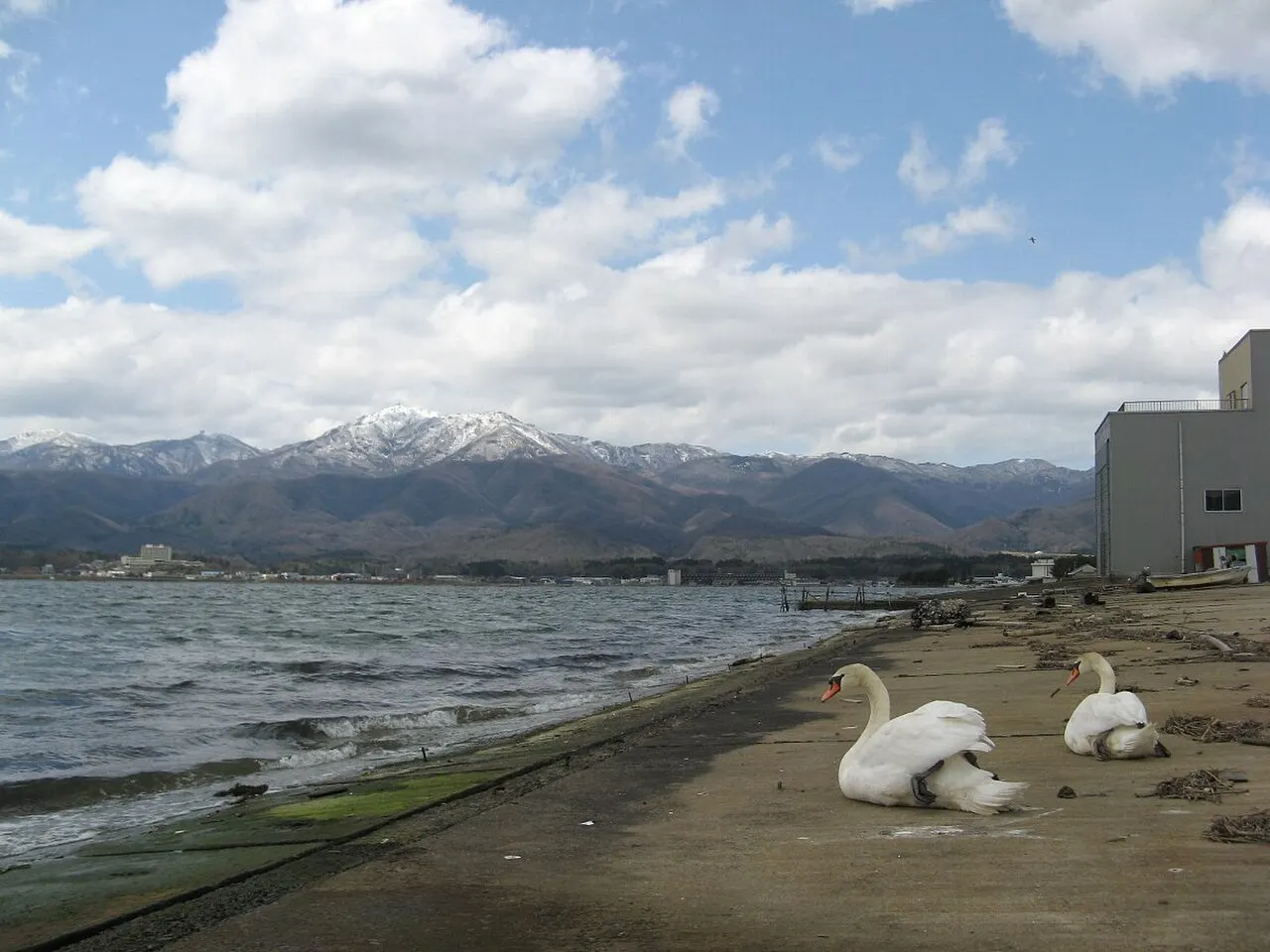 金北山