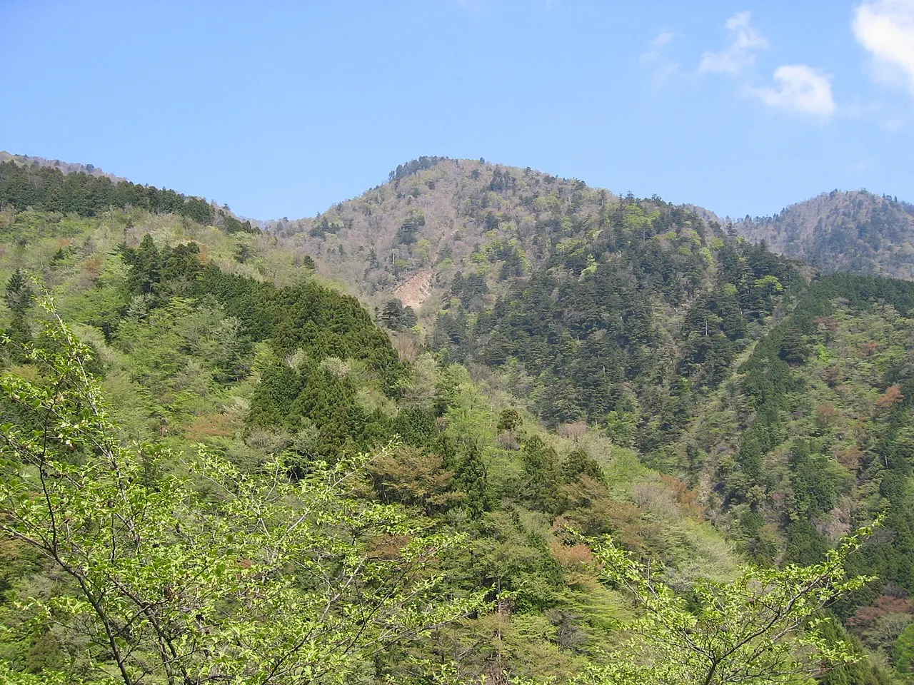 円山木ノ頭