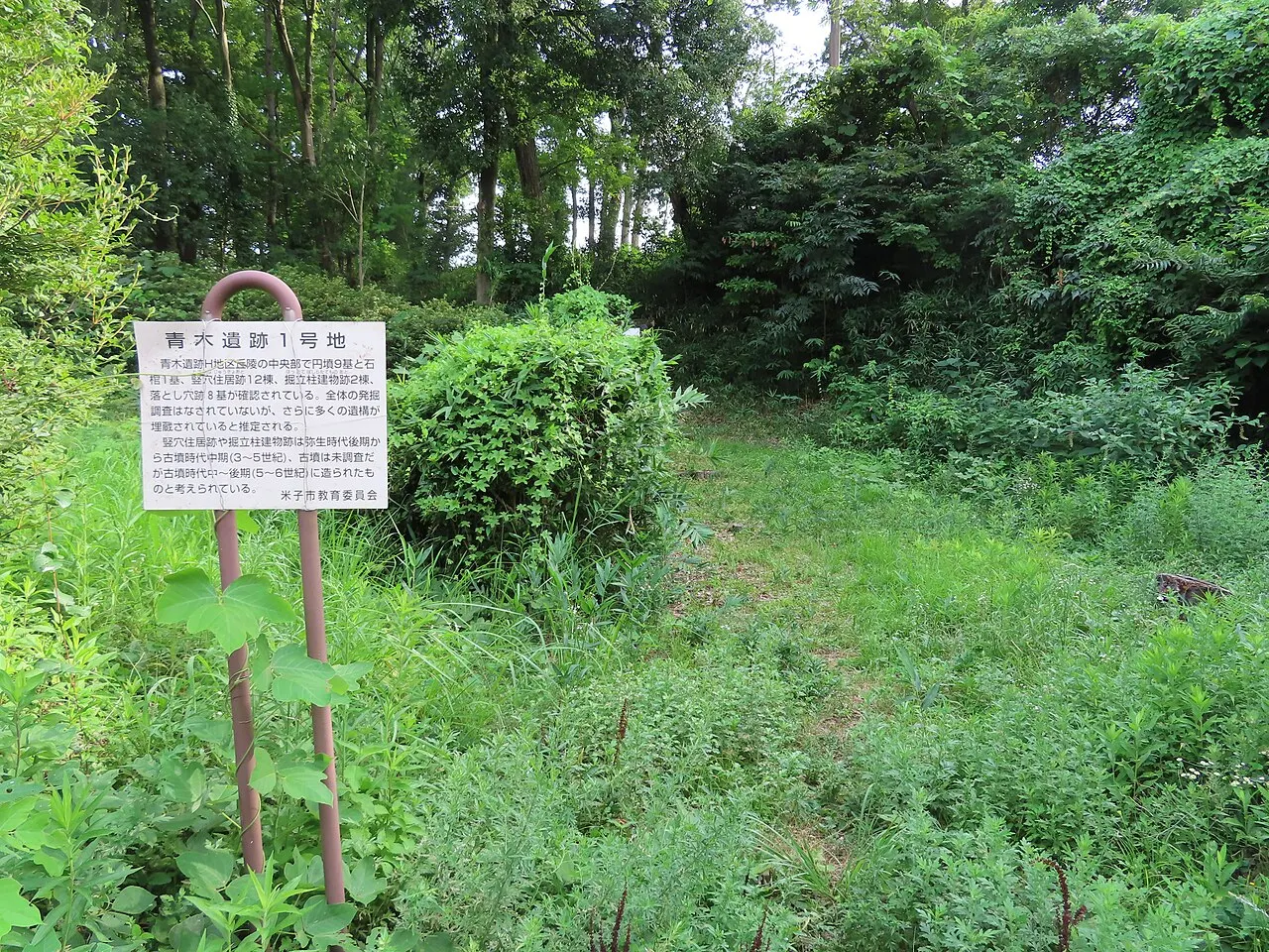 青木遺跡 (米子市)