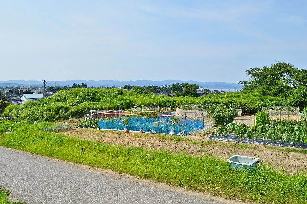 桜谷古墳