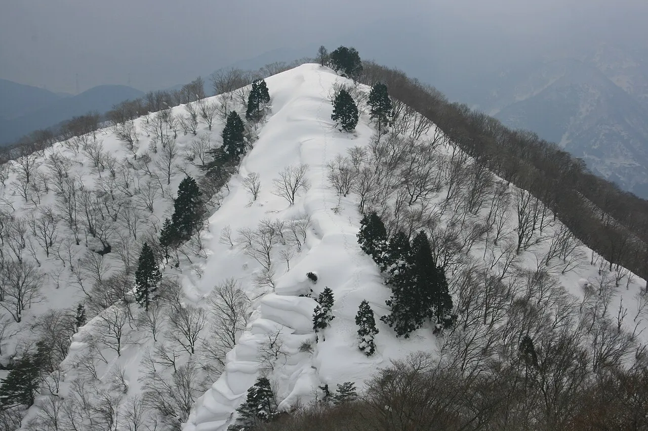 小津権現山