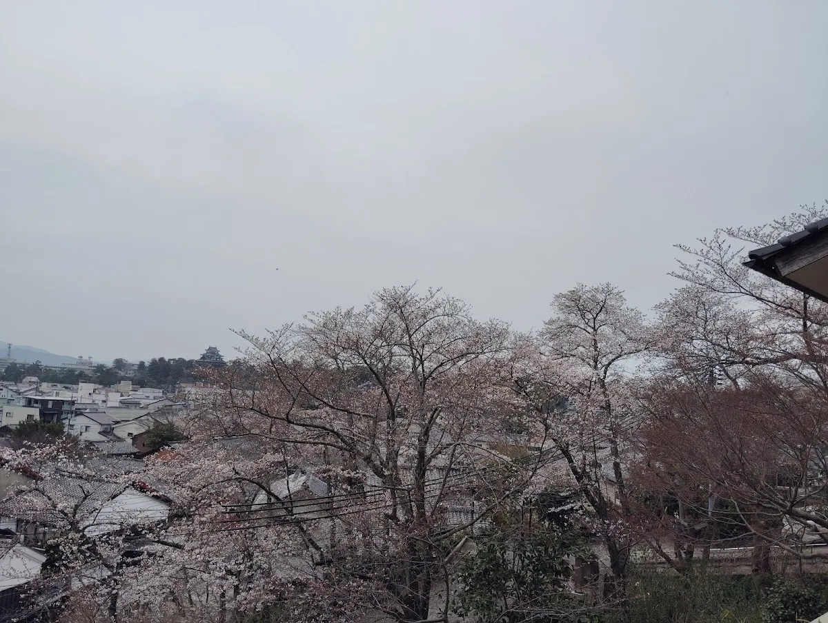 千手院