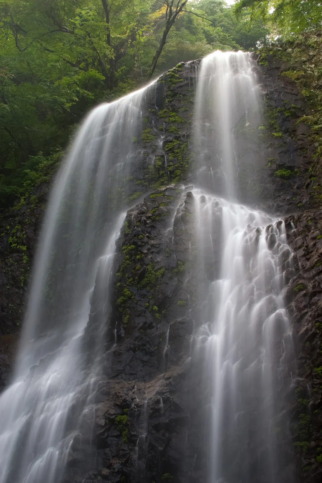 白猪の滝