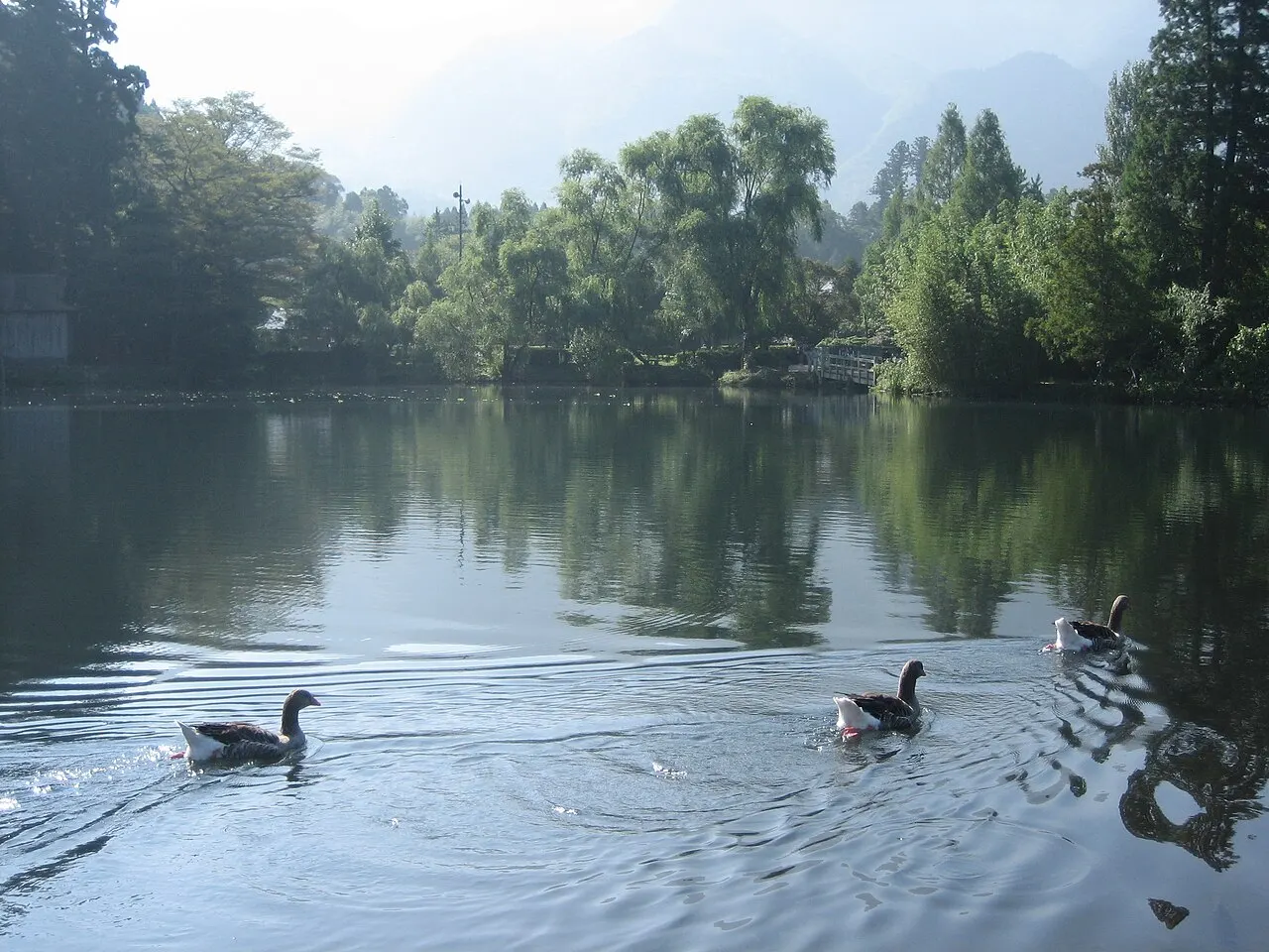 金鱗湖